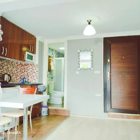 Sultanahmet Sea Star Apart * איסטמבול