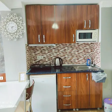 Sultanahmet Sea Star Apart * איסטמבול